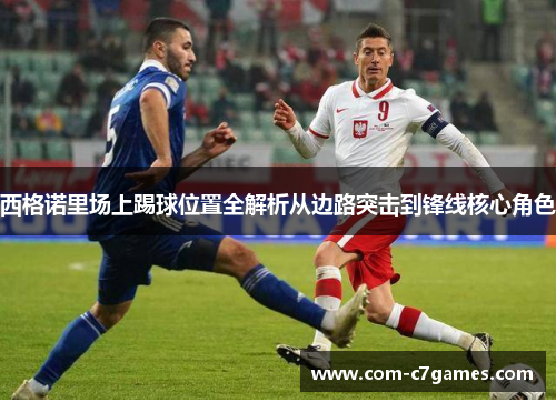 西格诺里场上踢球位置全解析从边路突击到锋线核心角色