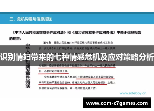 识别情妇带来的七种情感危机及应对策略分析 识别情妇带来的七种情感危机及应对策略分析
