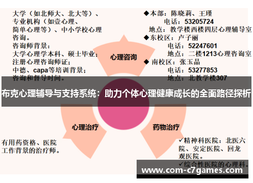 布克心理辅导与支持系统：助力个体心理健康成长的全面路径探析