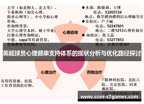 英超球员心理健康支持体系的现状分析与优化路径探讨
