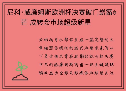 尼科·威廉姆斯欧洲杯决赛破门崭露锋芒 成转会市场超级新星 尼科·威廉姆斯欧洲杯决赛破门崭露锋芒 成转会市场超级新星