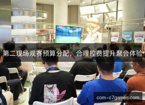第二现场观赛预算分配，合理控费提升聚会体验